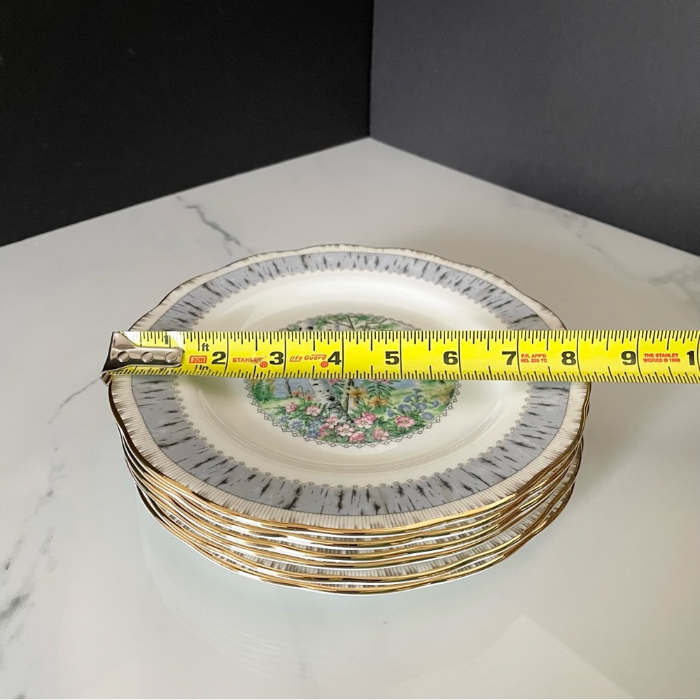 SET of 6 Silver Birch Salad or Dessert Plates by Royal Albert - Picture 2 of 6